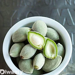 اللوز الأخضر