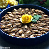 كبة بالصينية