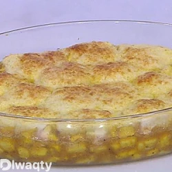 طريقة عمل الكوبلر