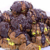 recipe-large