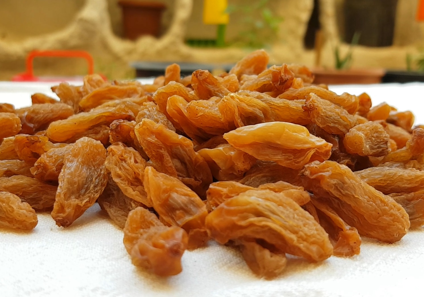 طريقة عمل الزبيب المجفف بالمنزل