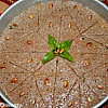 طريقة عمل الكبة السورية بالفرن