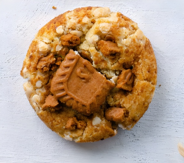 كوكيليشس(مغلق) - Image 6