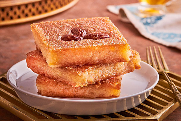 زانوبيا - Image 6