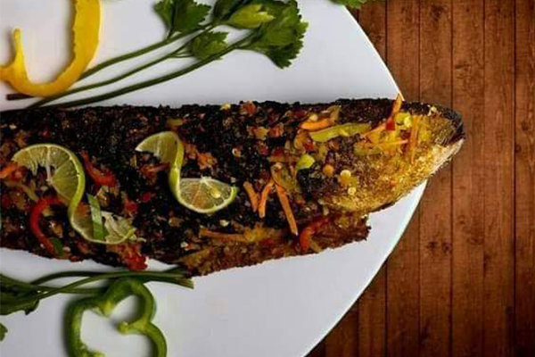 اسماك سنجاري - Image 6