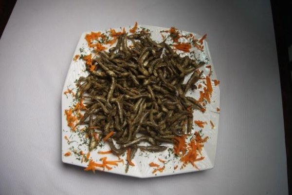 نورماندى 3 - Image 6