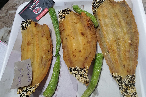 اسماك فرج - Image 6