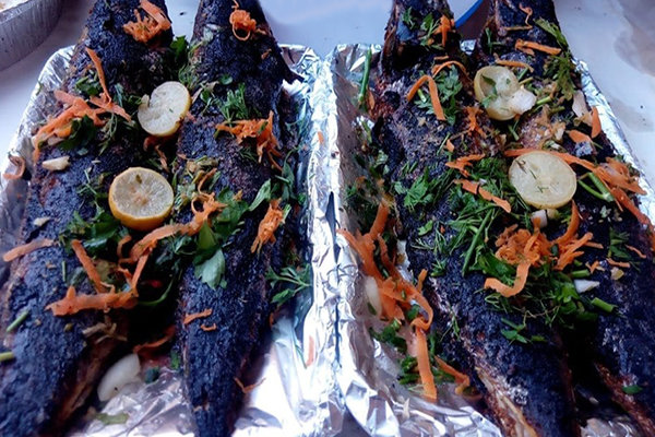 شادر السمك - Image 6