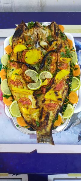 ( اسماك عروسة البحر ( مغلق مؤقتا - Image 6