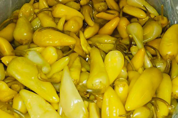 اكسلانس الفسيخ - Image 6