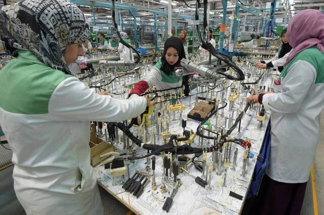 فرع جديد قريباً لشركة ليوني بمصر و1400 ضفيرة يومياً