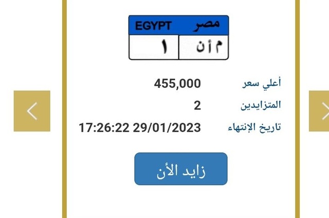 بسعر 455 ألف جنيه , لوحتان فقط معروضتان للبيع في المزاد