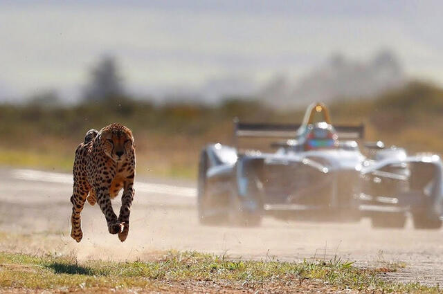 أغرب قوانين السيارات من جميع أنحاء العالم