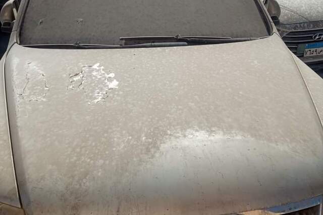 انطلاق مزاد سيارات جمارك الإسكندرية والسلوم والدخيلة في 7 فبراير المقبل