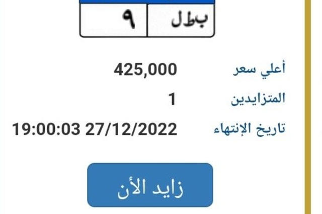 10 لوحات جديدة مميزة متاحة للبيع بالمزاد والسعر وصل 425 ألف جنيه