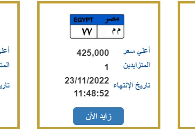 بسعر 425 الف جنيه لوحات جديدة مميزة في المزاد