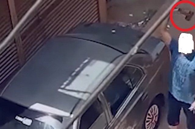 واقعة قديمة : مواطن يصعد على سيارة ملك جاره ويقوم بتحطيمها بعصا حديدية 