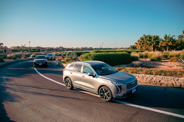 هافال تحتفل بمرور عام على إطلاق سياراتها بالسوق المصري