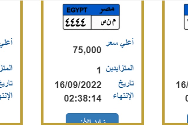 14 لوحة جديدة مميزة للبيع في مزاد بسعر حتى 425 ألف جنيه