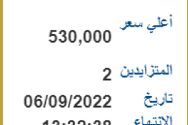 بسعر تجاوز النصف مليون : لوحات جديدة للبيع في المزاد