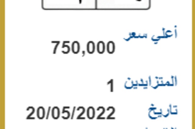 بسعر 750 ألف جنيه لوحات جديدة في المزاد بمصر