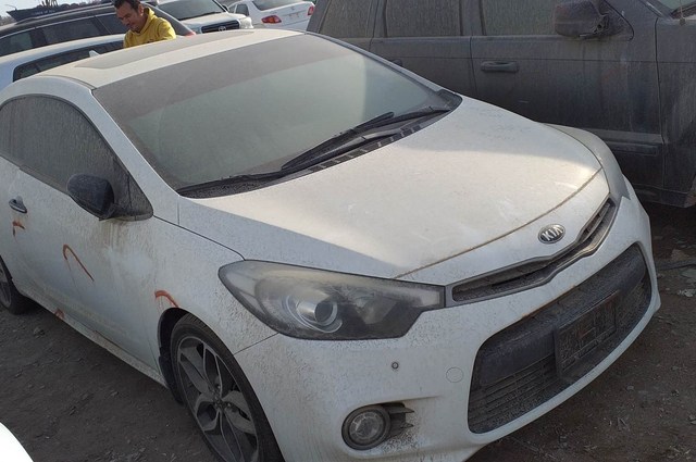 أهم السيارات في مزاد جمرك الاسكندرية والسلوم والدخيلة خلال أبريل