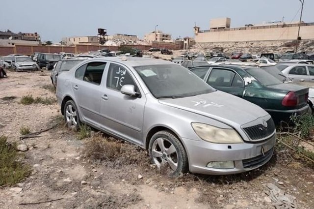 عشرات السيارات في مزاد نيابة العاشر من رمضان في مصر