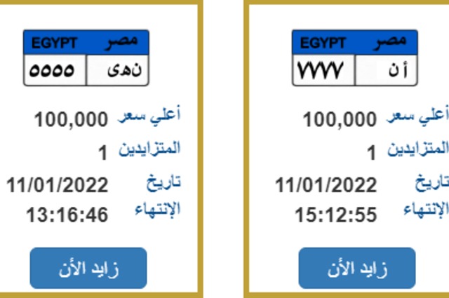 أهم اللوحات الالكترونية المعروضة للبيع في المزاد بمصر