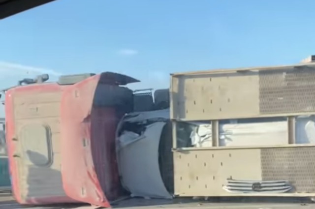 تريلا تنقل سيارات فولكس فاجن تيجوان تنقلب في مصر