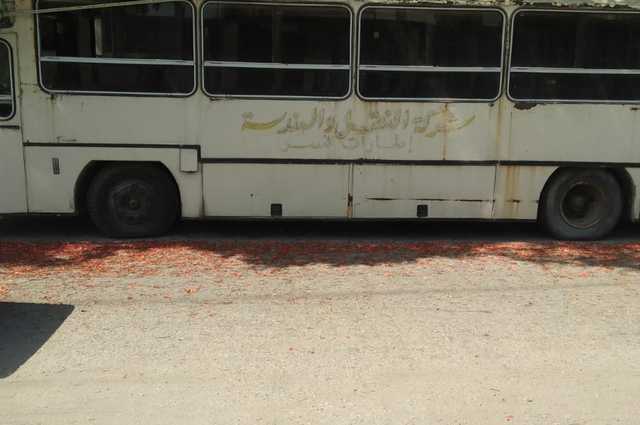 الإعلان عن مزادين للسيارات وقطع الغيار في مصر