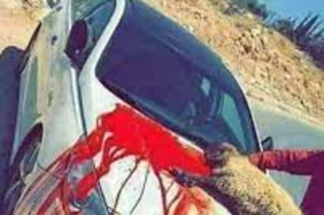 حكم الذبح عند شراء سيارة أو وضع المصحف في السيارة