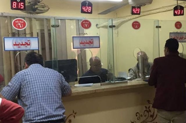 زيادة نسب تراخيص السيارات في مصر