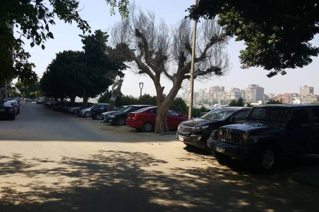 الجيزة تحدد رسوم لأسعار انتظار السيارات
