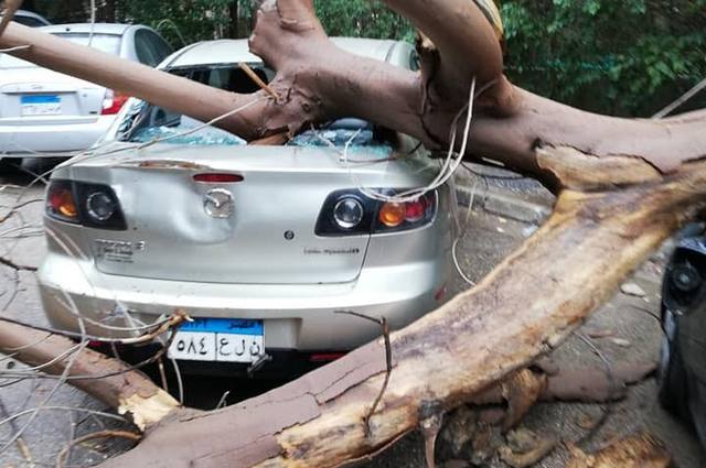 بالصور : تحطم سيارات عديدة بسبب الأمطار 