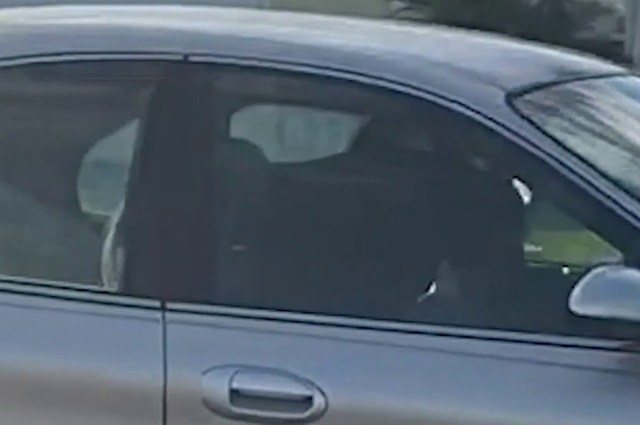 فيديو : كلب يغلق سيارة على نفسه وينطلق بها في جولة عكسية 