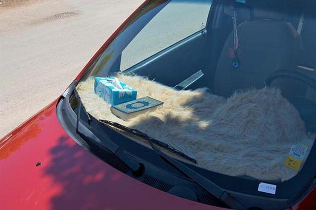 الافتاء تؤكد جواز وضع المصحف في السيارة للحفظ