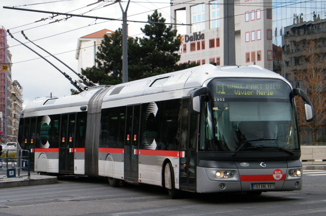 عودة ايكاروس لمصر من جديد