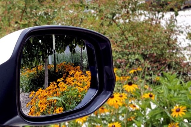 4 أشياء يجب فحصها في سيارتك خلال فصل الربيع