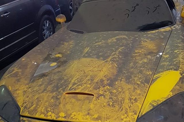 بالصور : انطلاق مزاد سيارات جمرك الاسكندرية في 25 مارس