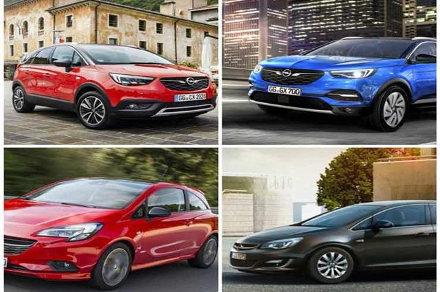 وقف توزيع علامات أوروبية وأمريكية لموزع شهير بمصر