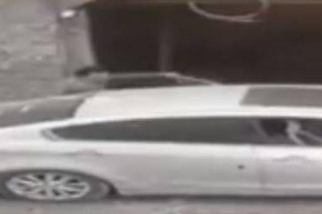 فيديو : عصابة تقوم بسرقة بقرة ووضعها داخل سيارة ملاكي في مصر!! 