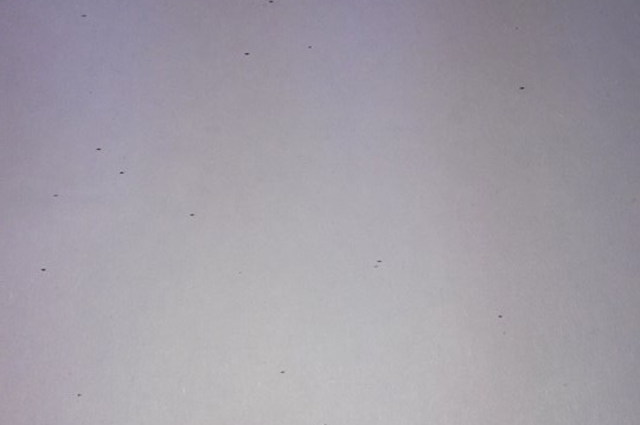 أكثر من 200 سيارة حكومية للبيع في مزادات 12 الى 15 أغسطس الجاري