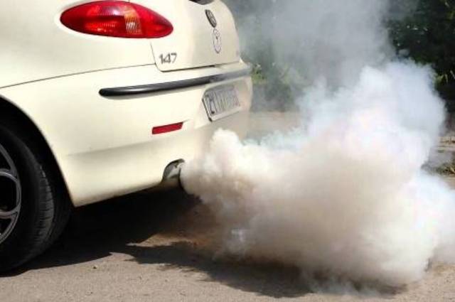 مطالب لمعارض السيارات بالتبرع بثمن 12 شجرة لكل سيارة يتم بيعها