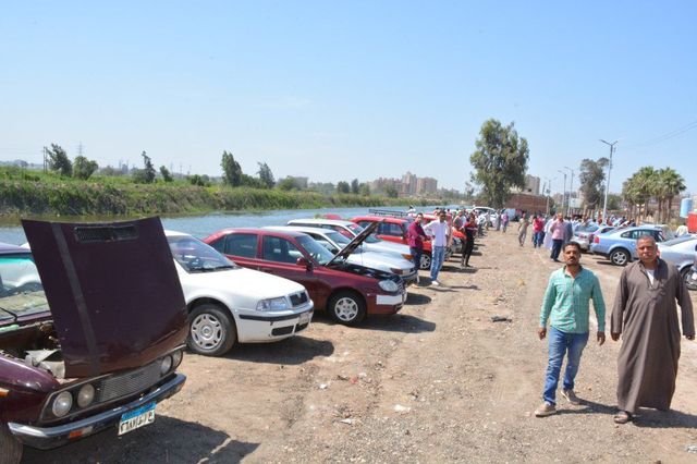 لسكان الدلتا . . سوق للسيارات المستعملة في مدينة طنطا