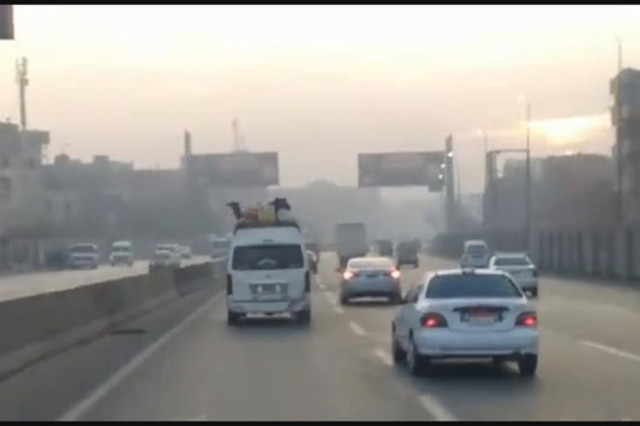 فيديو : يحدث في مصر فقط . . حمار فوق سقف ميكروباص في رحلة سفر !!