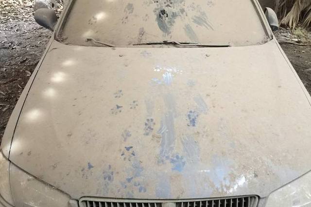 بالصور : سيارات بنك ناصر الاجتماعي التي ستطرح في مزاد في 25 فبراير 