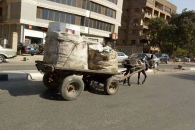 شوارع القاهرة تتخلص من 25% من الكارو والبديل الترويسكل