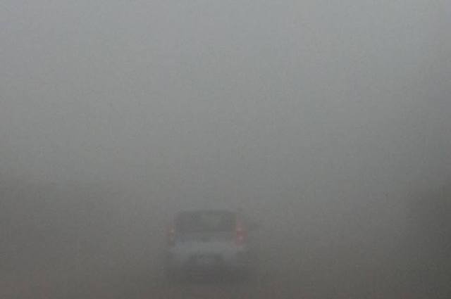 المرور : أهم القواعد للقيادة الآمنة في الشبورة 