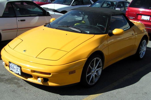 لوتس إيلان المكشوفة ظهرت في حالات نادرة في مصر