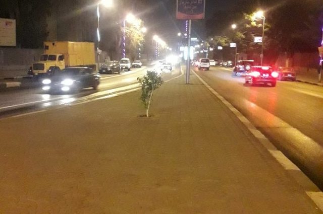 فتح كوبري الجلاء بصورة تجريبية واصلاح سور كوبري الملك خالد